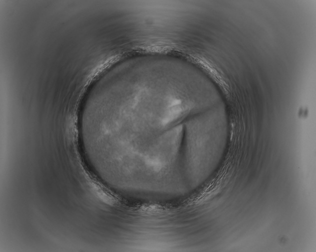 X0000097900634200803281340