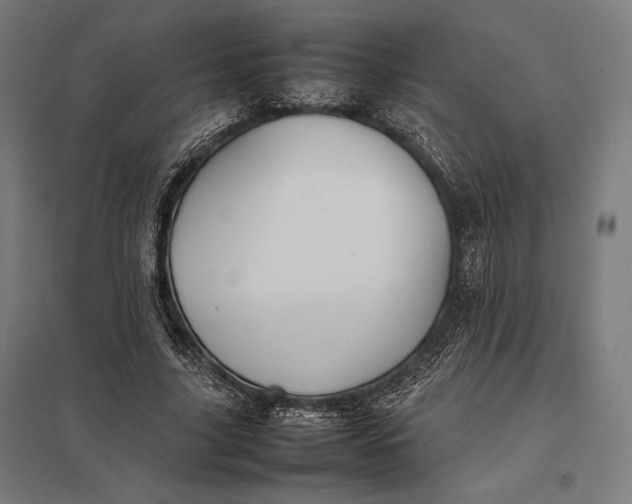 X0000097900635200803281340