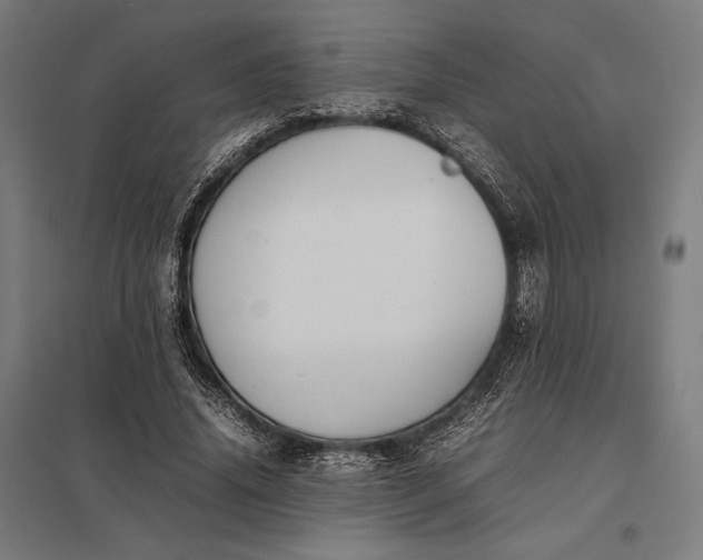 X0000097900636200803281340