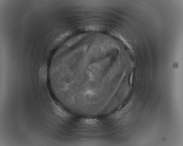 X0000097900637200803281340