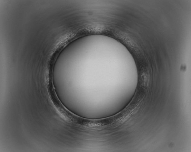 X0000097900638200803281340