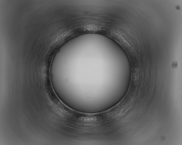 X0000097900639200803281340