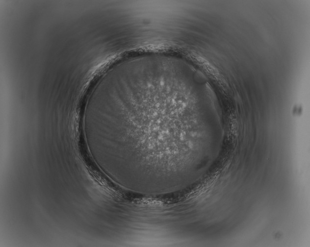 X0000097900640200803281340