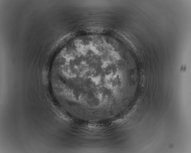 X0000097900641200803281340