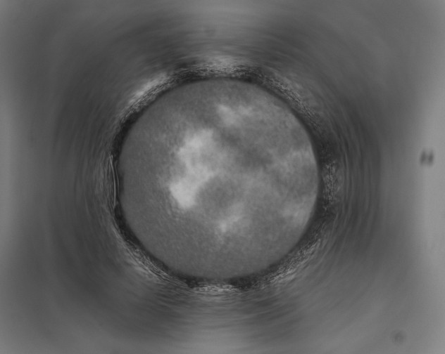 X0000097900642200803281340