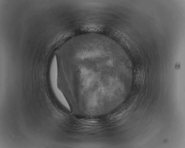 X0000097900643200803281340