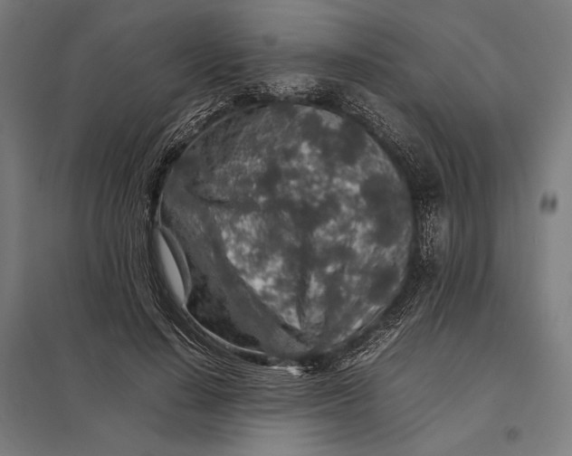 X0000097900644200803281340