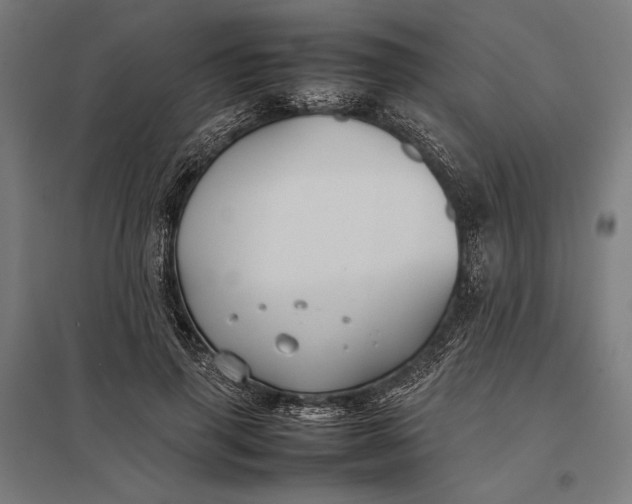 X0000097900645200803281340