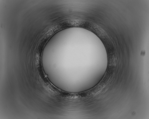 X0000097900646200803281340