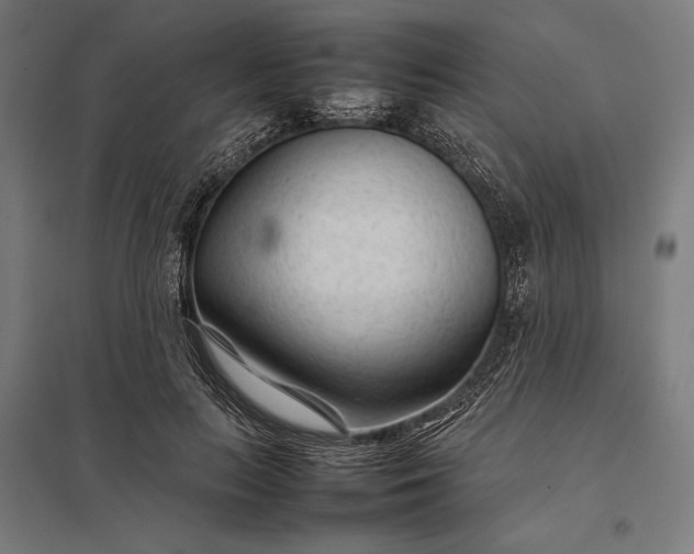 X0000097900647200803281340