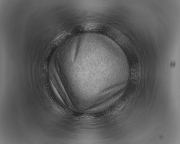 X0000097900648200803281340