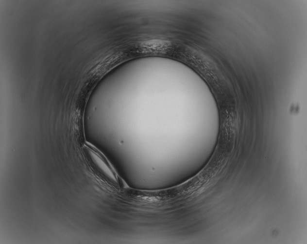 X0000097900649200803281340