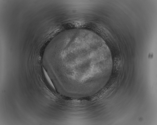 X0000097900650200803281340