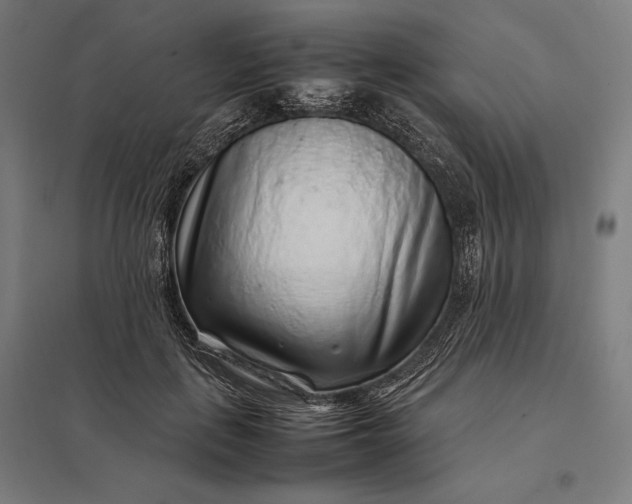 X0000097900651200803281340