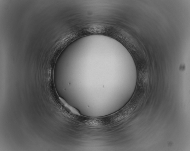 X0000097900652200803281340