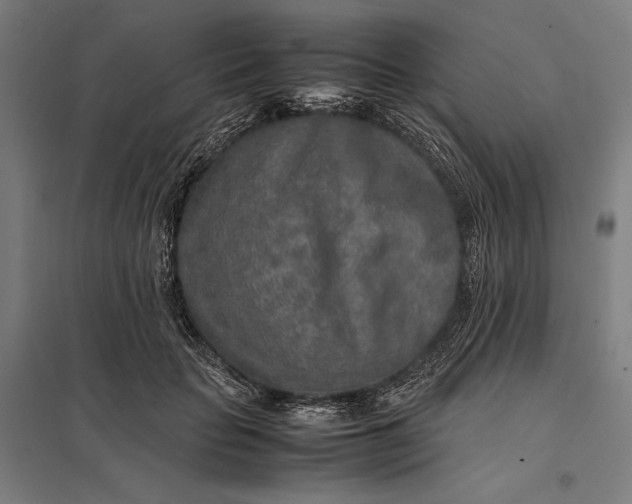 X0000097900653200803281340