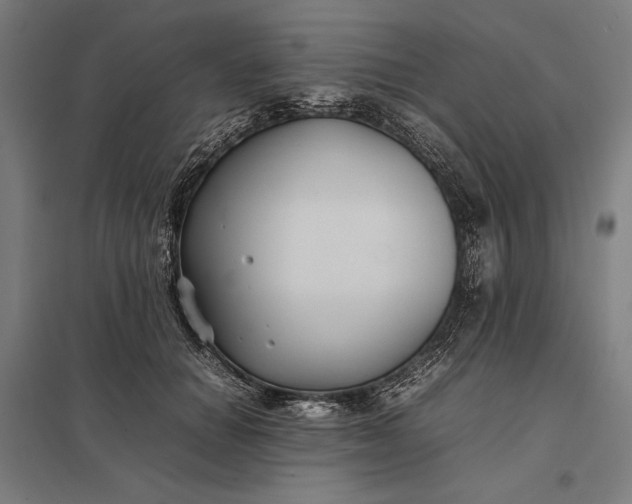 X0000097900654200803281340