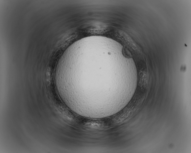 X0000097900655200803281340