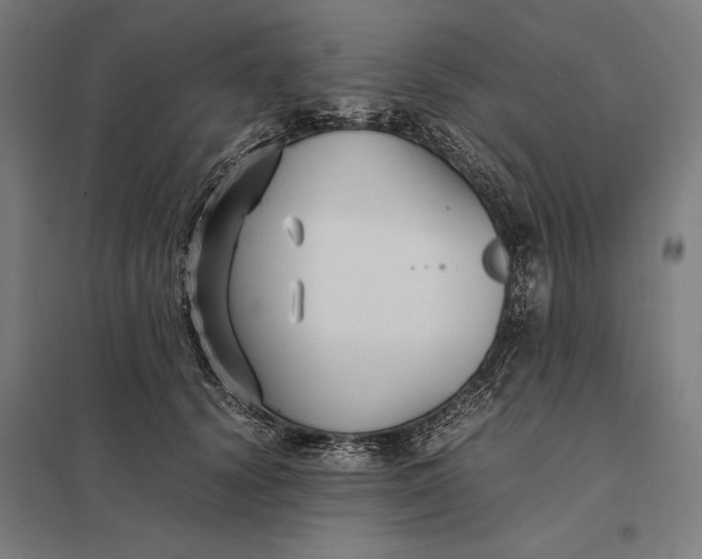 X0000097900656200803281340