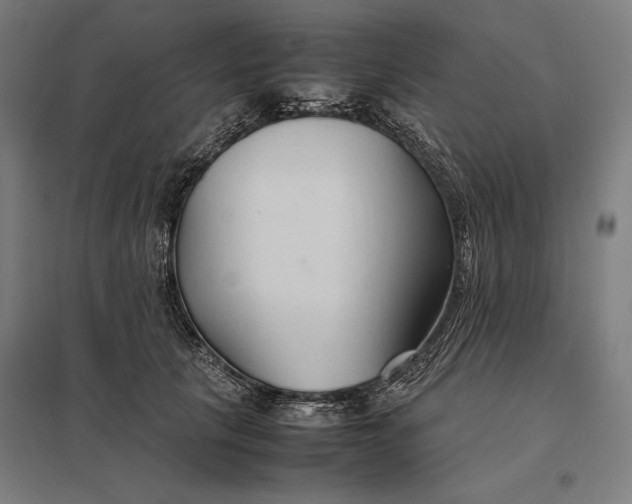 X0000097900657200803281340