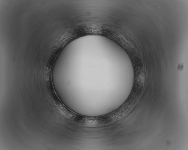 X0000097900658200803281340