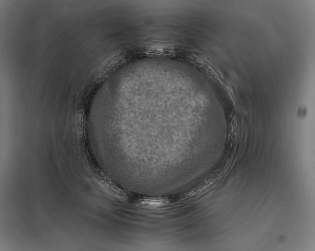 X0000097900659200803281340