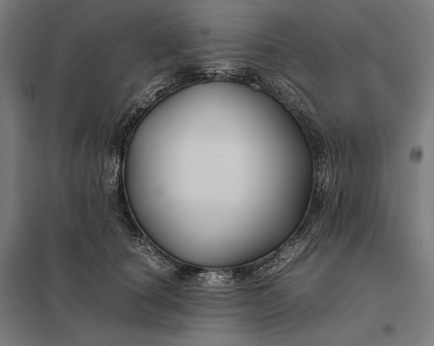 X0000097900660200803281340