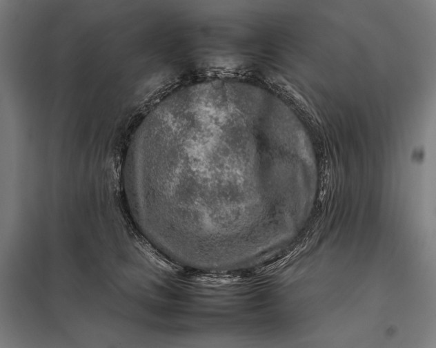 X0000097900661200803281340