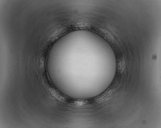 X0000097900662200803281340