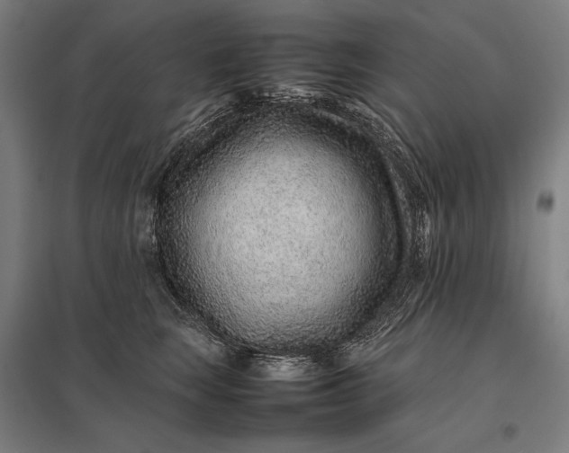 X0000097900663200803281340