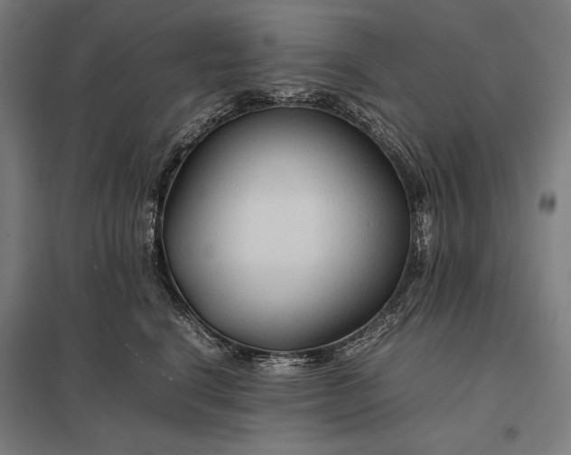 X0000097900664200803281340