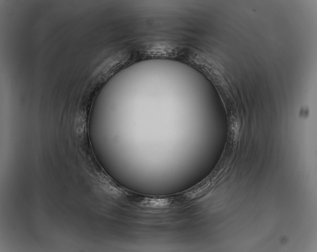 X0000097900665200803281340