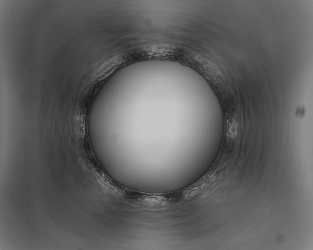 X0000097900666200803281340