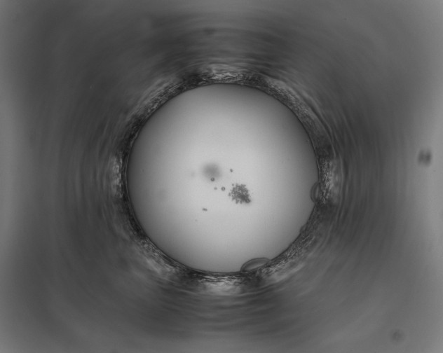 X0000097900667200803281340