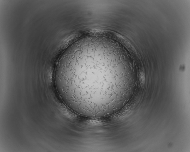 X0000097900668200803281340