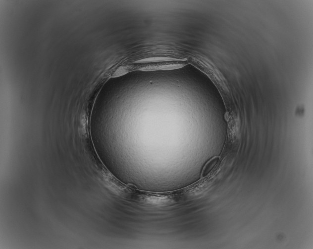 X0000097900669200803281340