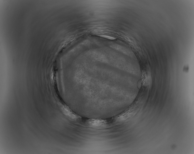 X0000097900670200803281340