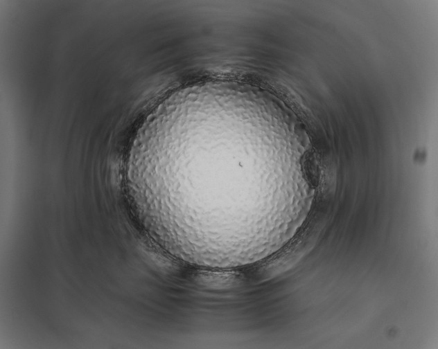 X0000097900671200803281340