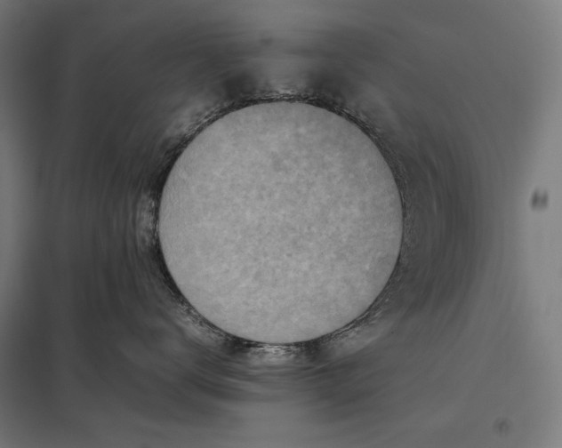 X0000097900672200803281340