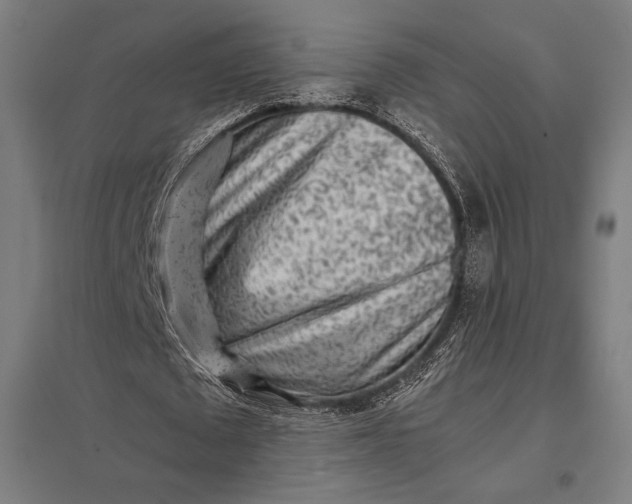 X0000097900673200803281340