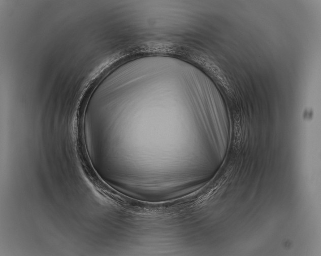 X0000097900674200803281340