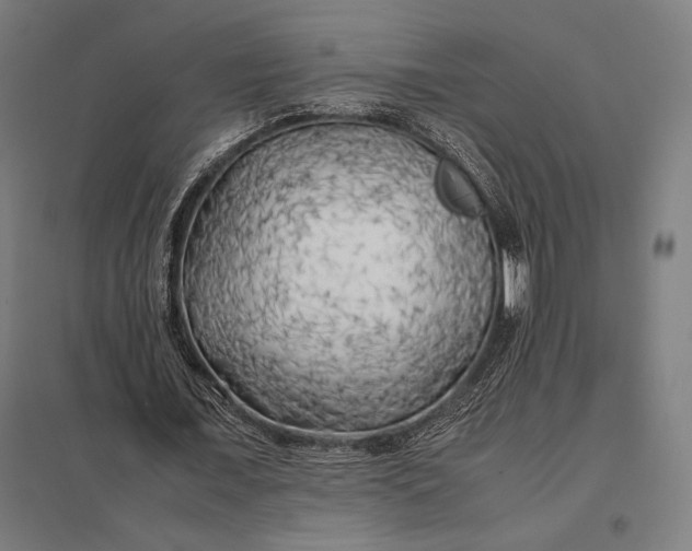 X0000097900675200803281340