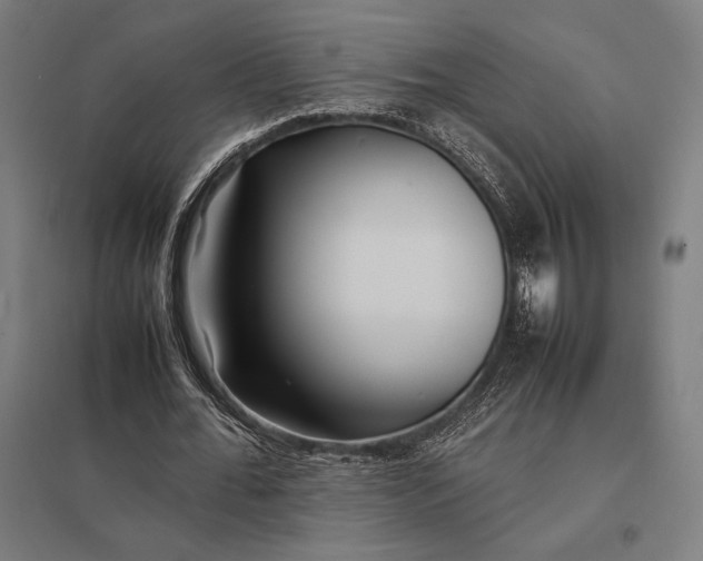 X0000097900676200803281340