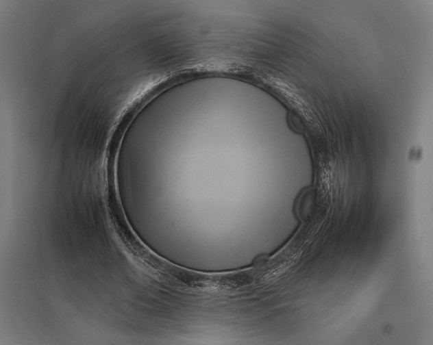 X0000097900678200803281340