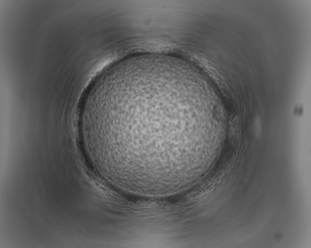 X0000097900679200803281340