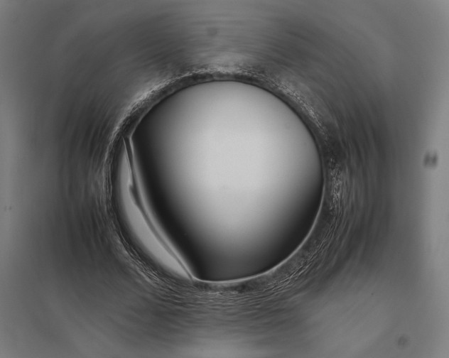 X0000097900680200803281340