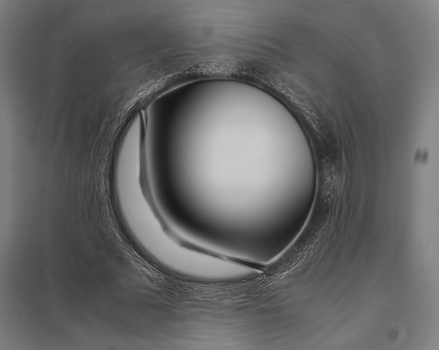 X0000097900681200803281340