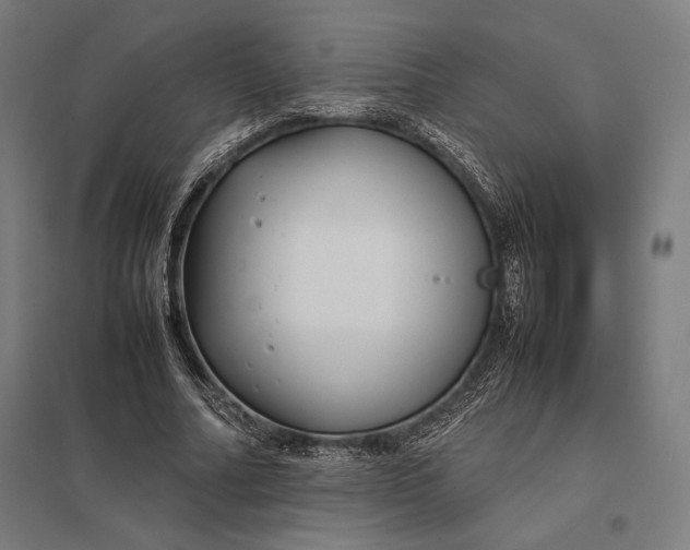 X0000097900682200803281340