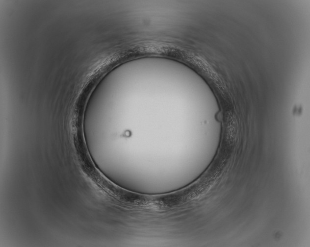 X0000097900683200803281340