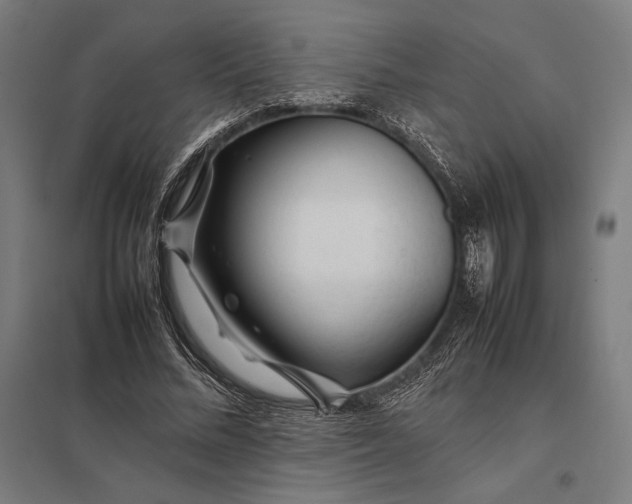 X0000097900684200803281340